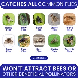 2 Fly Traps Outdoor Fly Trap for Patio with 4 Non-Toxic Dissolvable Bait Refills. Reusable Hanging Bug Catcher Killer for All Filth Flies for Outside Bug Control Yard Ranch. Hanging Chains Included