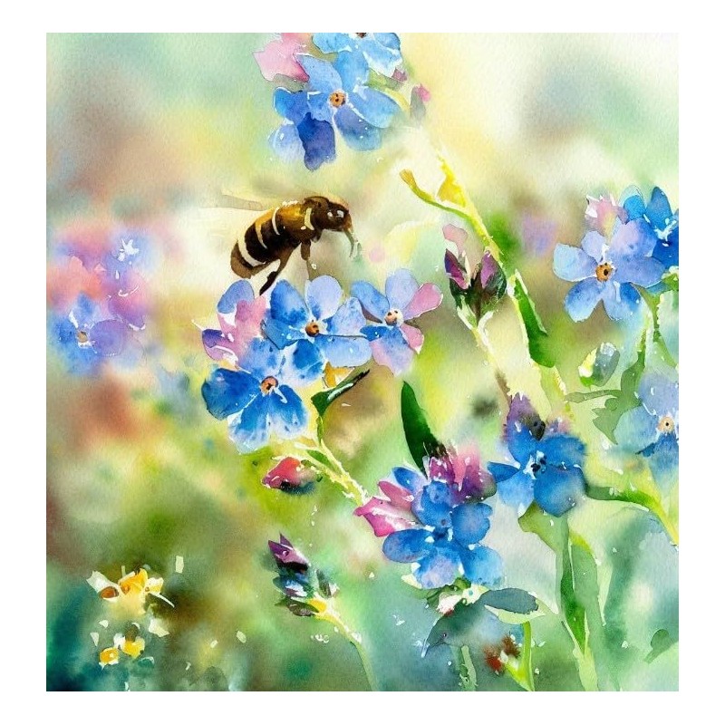 Anchusa capensis (Cape Forget-Me-Not) Flower Seeds, Highly Attractive to Pollinators,