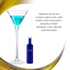 Worlds Largest Giant Martini Glass - Huge 20 Inches, 54