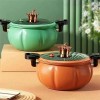 Eco R Olla Vaporera Antiadherente Micro Presión Horno 22cm Cocina