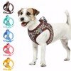 Gyuzh Dog Harness and Leash Set,Soft Mesh Breathable Small Dog