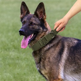 Eitchen Tactical Dog Collar and Leash Set Adjustable Military Heavy Duty Dog Collar with Handle and Metal Buckle for Medium and Large Dogs (M, Green)