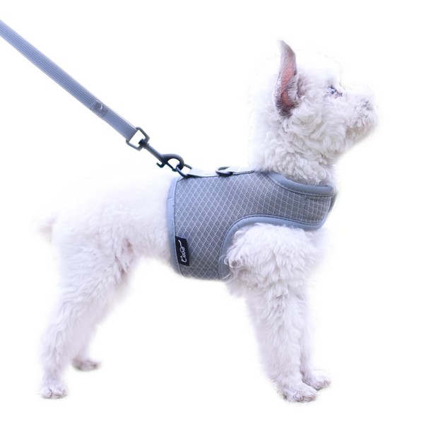 Small Dog Harness and Leash Set Small Pet Harness for