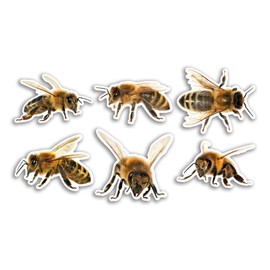 6 x 10cm Bee Vinyl Stickers - Bumble Insects Animal Funny Pattern Nature Pets Face Wild Girls Boys Travel Scrapbooking #80784