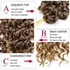 GoGo Curl Crochet hair 18inch Water Wave Crochet hair Ombre