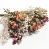 L'BREVOGA Dried Flowers with Stem, 16 inches Dried Spray Rose