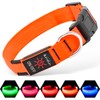 Illumifun Light Up Collar for Dogs, USB Rechargeable LED Dog