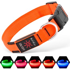 Illumifun Light Up Collar for Dogs, USB Rechargeable LED Dog Collar, Adjustable Safety Collar Light for Walking at Night (Orange, Large)