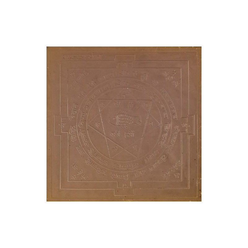 Exotic India Matsya Yantra - For Rectifying Vastu Faults at