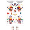 Sport-Tec Reflexzones Hand Mini Poster Anatomy 34 x 24 cm
