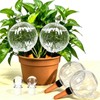 26oz Extra Large Plant Watering Globes, Self Watering Bulbs and