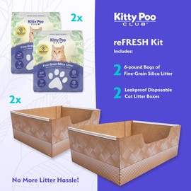 Leakproof Disposable 2-Pack Cat Litter Box with 2 Bags of 6 lbs Litters | Superior Odor Control & Recyclable Design | Perfect for Travel, Multi-Cat Homes & Daily Use — Kitty Poo Club