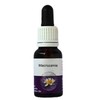 Living Essences Macrozamia 50ml