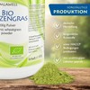 AMLAWELL Organic Wheatgrass Powder - 500 g Organic Wheatgrass Powder