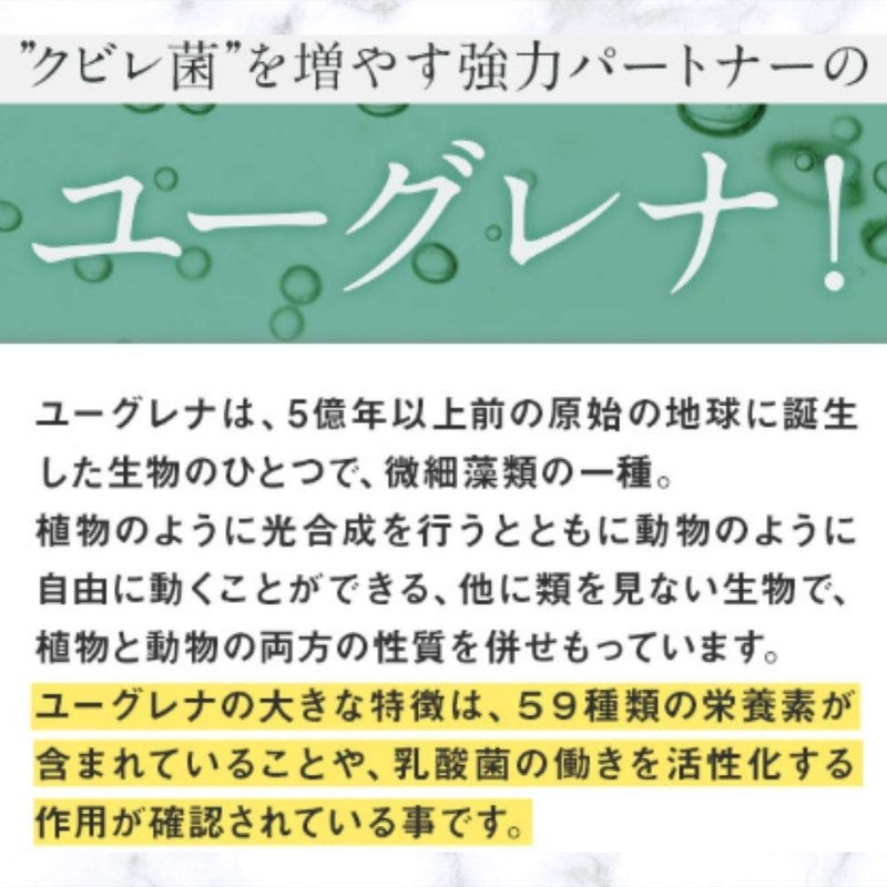 お得な3袋セット! CUBIRE/クビレ ユーグレナ配合のダイエットサポートサプリメント！貴女も理想のボディへ！ 31粒入り×3袋 ユーグレナ 乳酸菌 酪酸菌 サプリ 耐酸性カプセル採用 国内製造