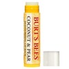Burt's Bees 100 percent natural tinted lip balm coconut and