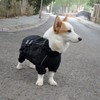 Dogs Waterproof Jacket, Lightweight Waterproof Jacket Reflective Safety Dog Raincoat