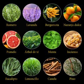 12PCS Aceites Esenciales de Aromaterapia, Se puede utilizar en meditación, yoga, masajes, baño, oficina, hogar y otras ocasiones.（12 x 10 ML）