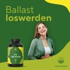 TRUE NATURE ORGANIC Dandelion - 240 Capsules - 1500 mg Dandelion Extract High Dose 10:1 (Dandelion Root Extract) - Liver Cleanse - vegan, laboratory-tested, no additives - German Production - TRUE NATURE