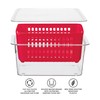 Oggi 5169 Berry Bin - Single Basket, Red