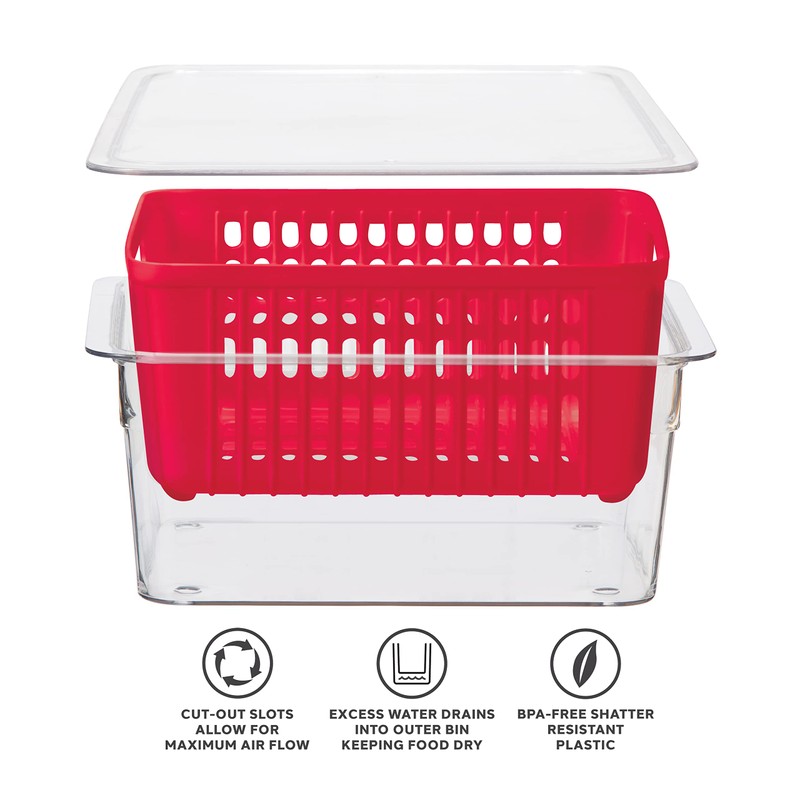 Oggi 5169 Berry Bin - Single Basket, Red