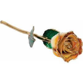 Gold Dipped Rose 24K Real Flower, 12 inch long stem, 24k Gold Plated Real Rose, Gifts for Mom, Birthday Gift for Women, Mothers and Valentines Day, Rose for Anniversary (Cream Orange Lacquer)