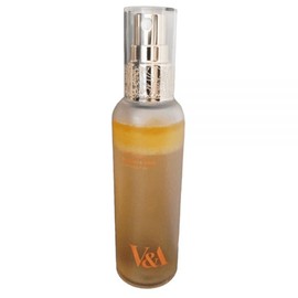 UnKnown V&A Beauty Skin Care Radiance Antioxidant Radiance Mist 100ml / 브이앤에이뷰티 피부관리 광채 안티옥시던트 래디언스 미스트 100ml