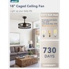 LEDIARY 18 inch Black Caged Ceiling Fan with Light, Bladeless