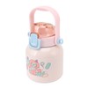 Insulated Water Bottle 680ml Capacity Stainless Steel Tea Flask for