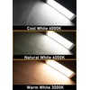 Raycharm RV & Boat Cabin Ceiling Interior LED Light Fixture