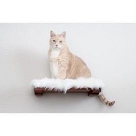 Catastrophic Creations Cat Shelf w/Cat Plush Bed — Standalone or Add-on Cat Wall Furniture — Bamboo Shelf for Indoor Cats — Wall Mounted Cat Furniture (34 Inch)