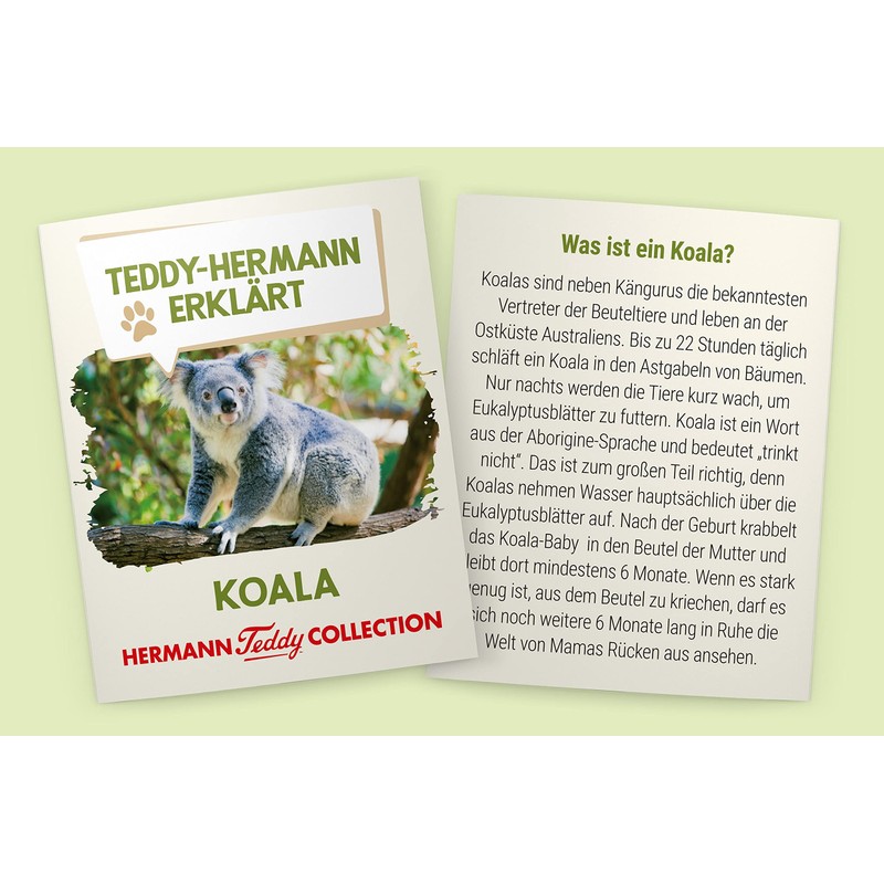 Teddy Hermann Koala Bear GmbH 914242 21 cm, Multi-Colour