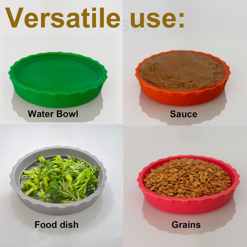 Bearded Dragon Food Dish, Reptile Water Bowl, Silicone Shallow Feeding