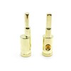 AVANKI Terminal Connector Brass with Gold Plated 8 to 8