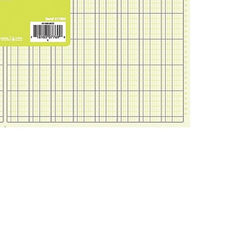 Staples 217893 Columnar Pads 13 Columns 11-Inch x 16 5/16-Inch