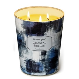 HomeLights Large jar Candle | 3-Wick Long-Lasting Scented Candles, 34oz Natural Soy Wax Candle for Home Scented, Scandinavian Minimalist Design Gifts for Women & Men, Coastal Breeze