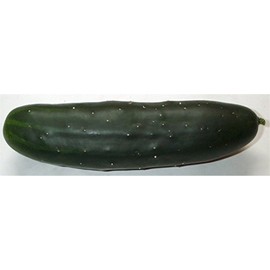 Cucumber Marketmore 76 Great Heirloom Vegetable Seeds by Seed Kingdom 150 Seeds