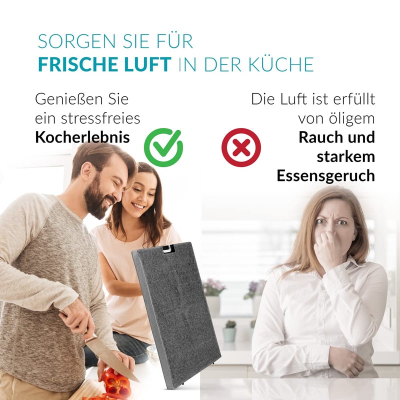 INTESIA® Activated Carbon Filter for Miele DKF 25-1