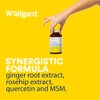 Vegan Glucosamine Phytodroitin by Wellgard - Quercetin, MSM, Botanical Alternative