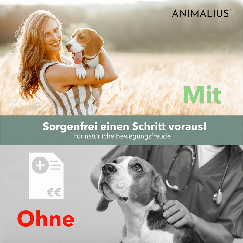 Animalius® Joint Tablets for Dogs Extra Small [For All Dog