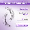 2-Pairs Reusable Magnetic Eyelashes with Applicator: Natural, No Glue or
