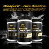 PVL Creapure Creatine - 100% Pure German Creatine monohydrate Powder