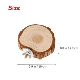 4 - Piece Parrot Log Pier Bird Cage Stands and Hamster Platform with Built - in Feeder