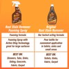Whink Rust Stain Remover , 24.00 Fl Oz (Pack of