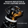 PetIsay Dog Light up Collar with Metal Buckle - Ultimate