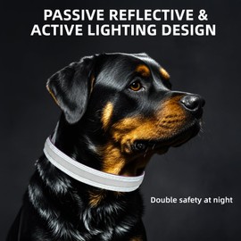 PetIsay Dog Light up Collar with Metal Buckle - Ultimate Reflective LED Dog Collar Rechargeable/Waterproof - Glow in The Dark Dog Collars for Night Walking, Camping, Foggy Weather(White,Small)