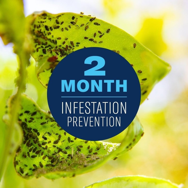 BioAdvanced Fruit, Citrus & Vegetable Insect Control for Edible Gardening,