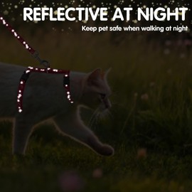 PAWCHIE Cat Harness with Leash and Collar Set - Escape Proof Adjustable Cat Harness Glow in The Dark for Kitty Outdoor Walking