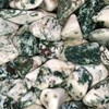 Pachamama Essentials Tree Agate Tumbled - Healing Stone - Crystal