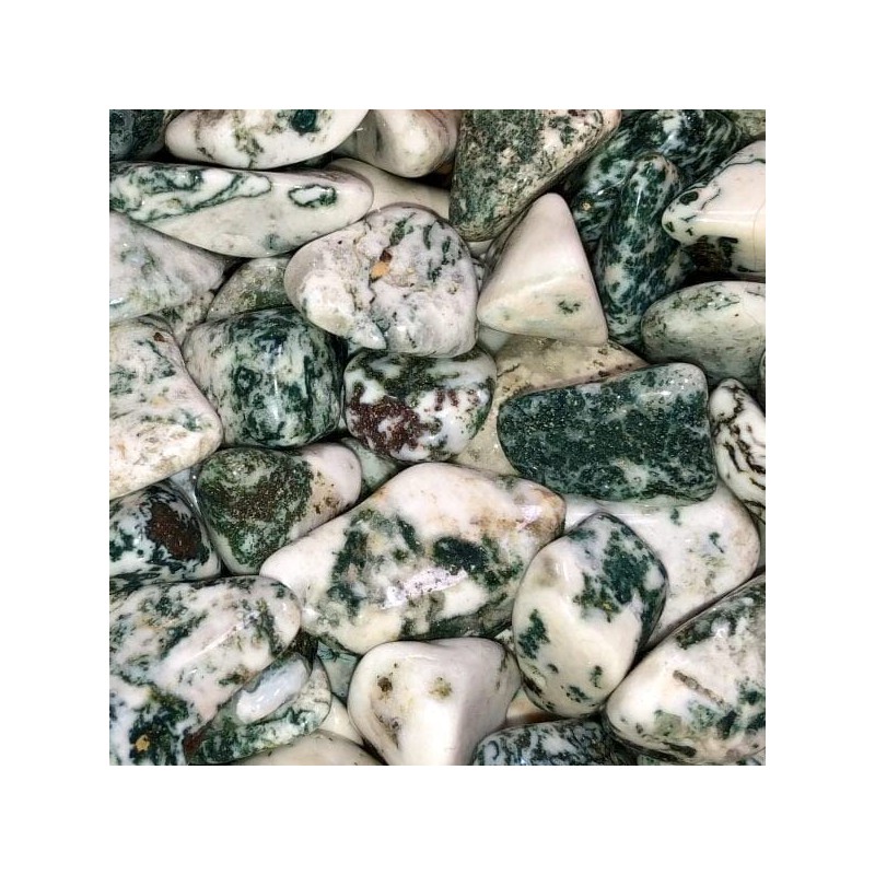 Pachamama Essentials Tree Agate Tumbled - Healing Stone - Crystal